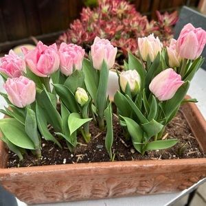 Meet your Posher, Loann